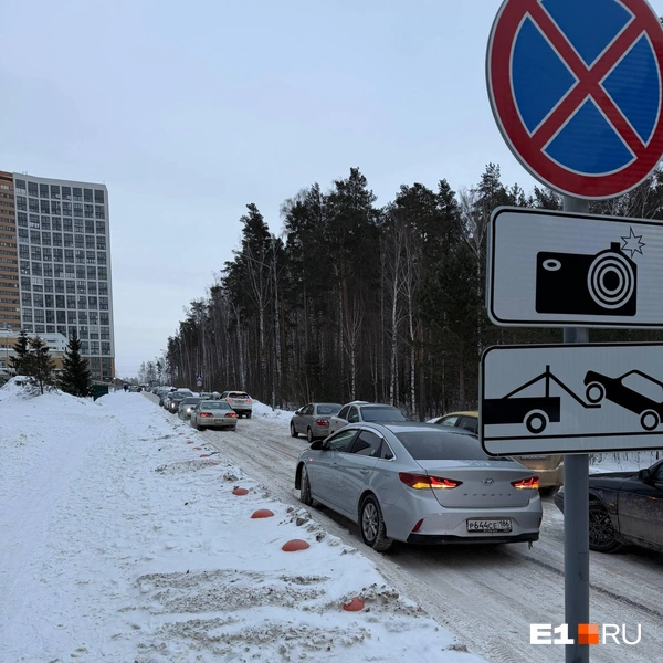 Источник: читатель E1.RU