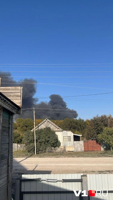 Источник: читатели V1.RU