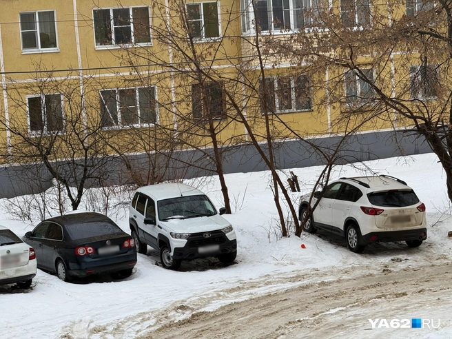 Рязанцы говорят, что ставить автомобили им негде | Источник: Сергей Петунин / YA62.RU