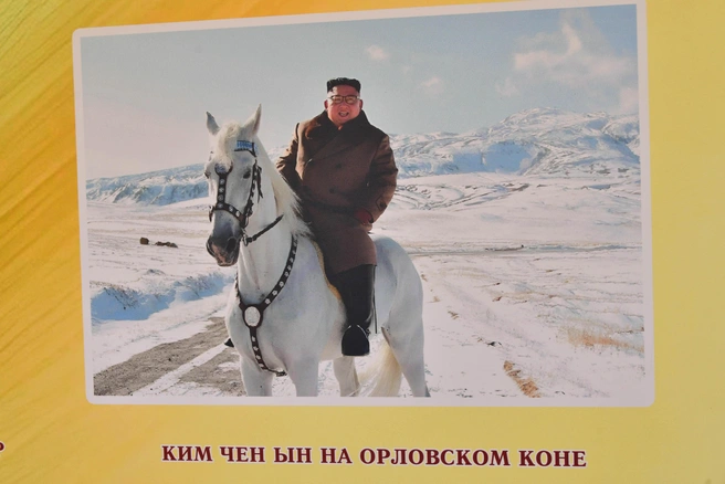 Источник: пресс-служба главы Татарстана