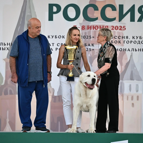 Источник: РКФ