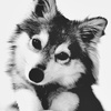 userpic__Алла