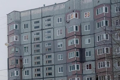 Court sentences Severodvinsk man for throwing dog from window