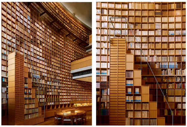 Не просто хранилище книг: удивительная архитектура библиотек XXI века