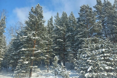 Режим неблагоприятных метеоусловий в Магнитогорске сохраняется