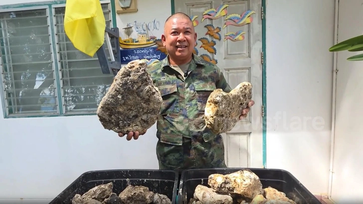 Офицер из Таиланда продает 55 кг затвердевшей рвоты кашалота. Просит миллион батов, но она явно дороже | Источник: Newsflare