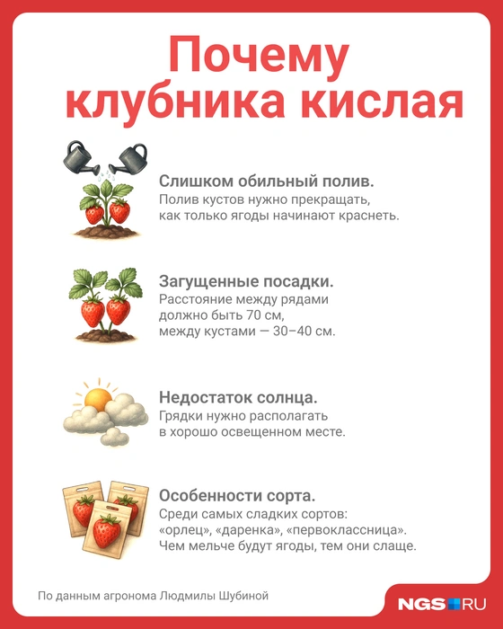 Сохраните себе полезную картинку | Источник: Юрий Орлов / Городские медиа