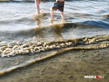 А вода в нем грязная | Источник: Михаил Мечев / MSK1.RU