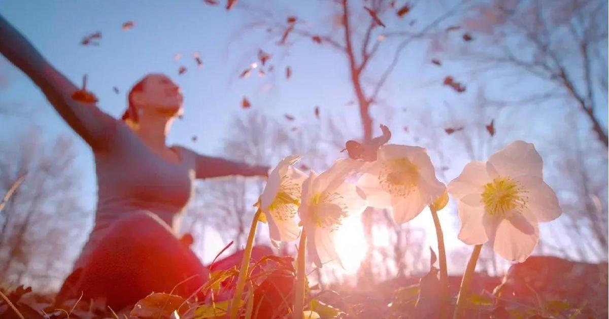 День весеннего равноденствия 20 марта: что нужно сделать в самую мощную дату 2026 года