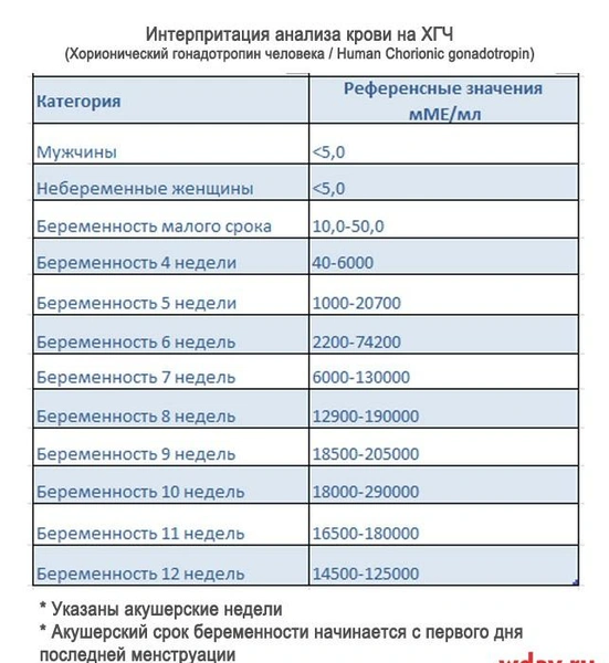 Анализ крови на ХЧГ (интерпритация результатов) | Источник: theDay.ru