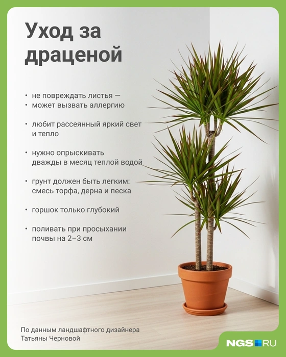 Источник: Юрий Орлов / Городские медиа