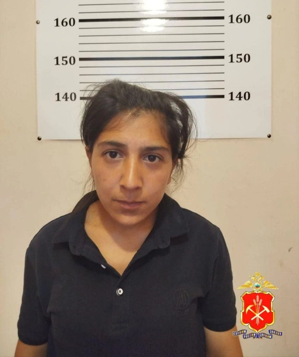 27‑летняя местная жительница цыганской народности ранее фигурировала в деле о хищении детской коляски | Источник: www.city-n.ru