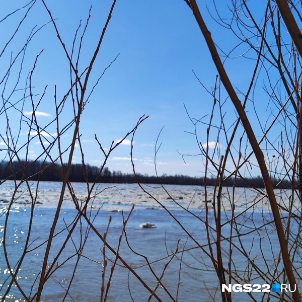 Источник: NGS22.RU