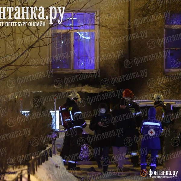 Источник: Дарья Драй / «Фонтанка.ру»