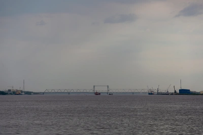 Безопасно ли есть рыбу из Северной Двины?