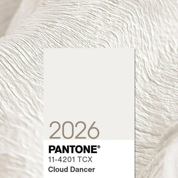 Основной цвет 2026 года выглядит так  | Источник: ru.pinterest.com