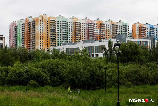 Через этот овраг детям приходится ходить в школу | Источник: Артем Устюжанин / MSK1.RU