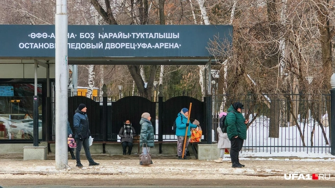 Уфимцев больше занимает расписание автобусов | Источник: Булат Салихов / UFA1.RU