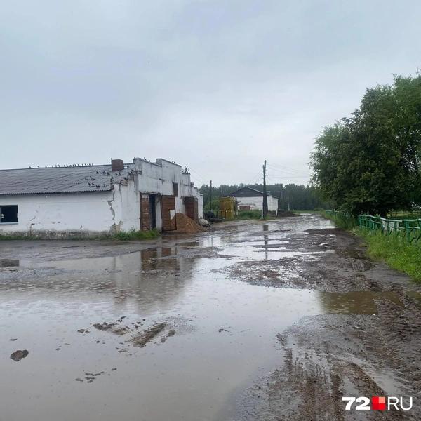 Источник: предоставлено читателем 72.RU