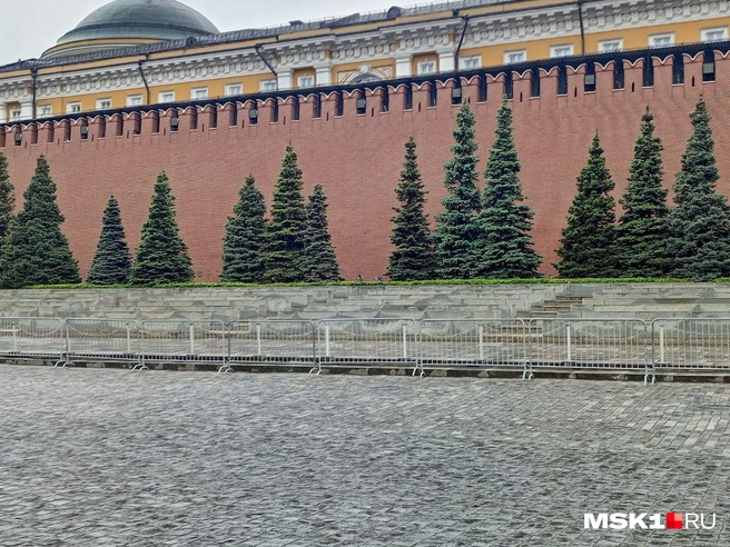 Источник: Полина Громова / MSK1.RU