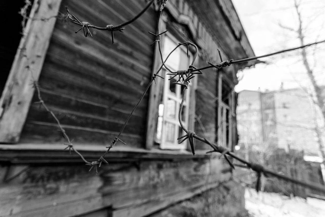Источник: Ксения Зимина