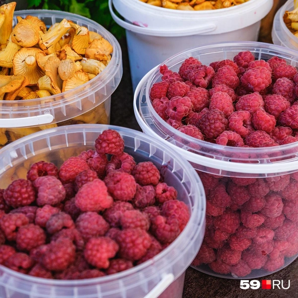 Малину можно купить за 400-600 рублей | Источник: Тимофей Калмаков / 59.RU