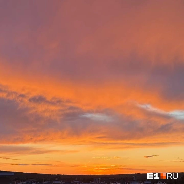 Источник: читатель E1.RU