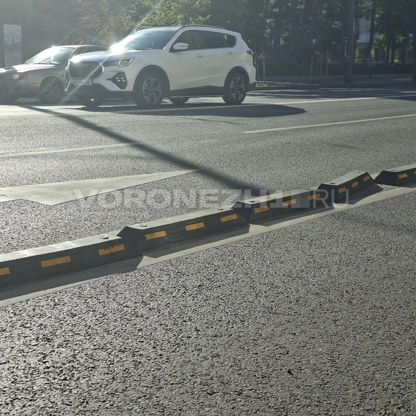 Источник: Алёна Воропаева / Voronezh1.ru