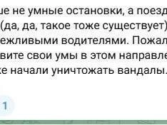Источник: Новости Ростова | 161.RU / Telegram.org