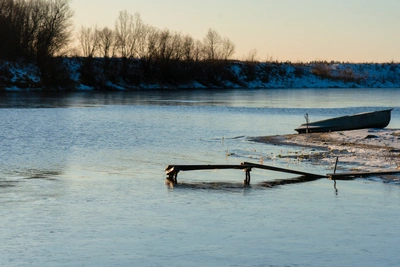 Новые виды рыб в Северной Двине: причины и виды
