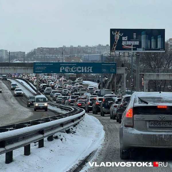 Источник: Максим Протасов