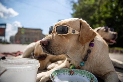 Синоптики рассказали о погоде в Иркутске на майские