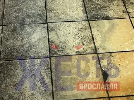 Кафельные полы покрыты толстым слоем грязи и плесени. | Источник: Жесть Ярославль / Vk.com