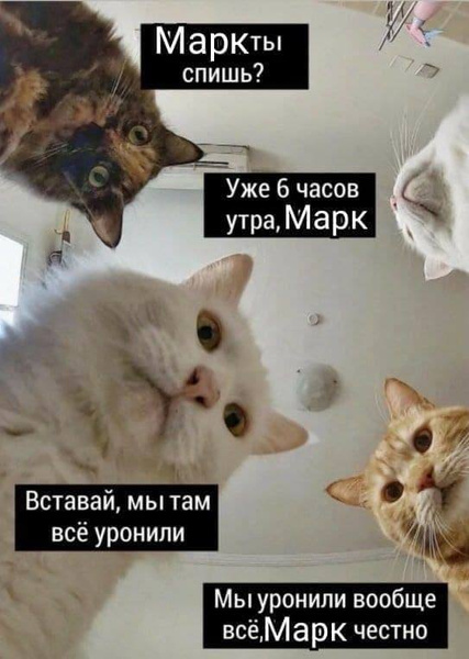 «Марк, просыпайся, мы все уронили»: 30 мемов о сбое в Facebook (запрещенная в России экстремистская организация) и Instagram (запрещенная в России экстремистская организация)