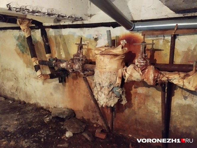 Источник: Дмитрий Волгин / Voronezh1.ru