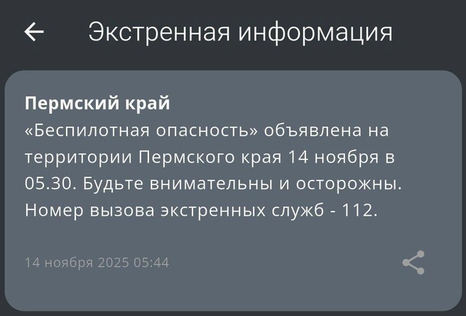 Жителям Прикамья разослали экстренную информацию | Источник: мобильное приложение МЧС