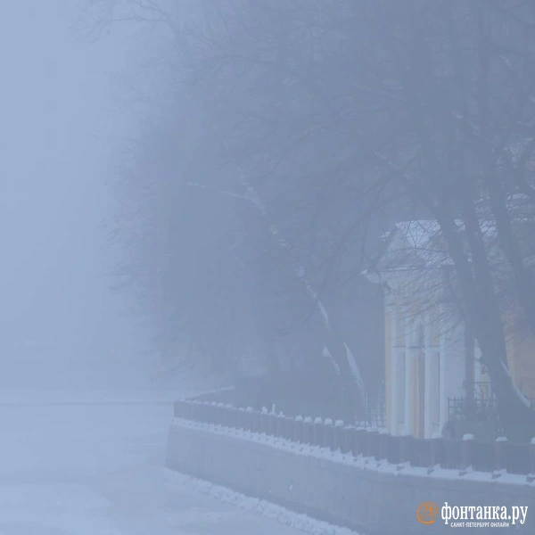 Источник: Дарья Драй / «Фонтанка.ру»