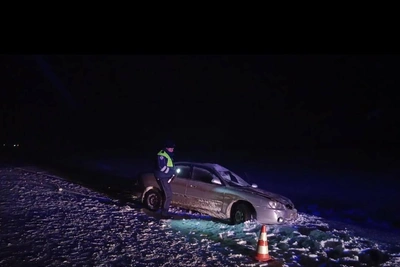 Пешеход погиб, выйдя на дорогу под Новый год