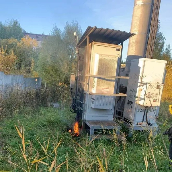 Источник: ГУ МВД РФ по Санкт-Петербургу и Ленобласти