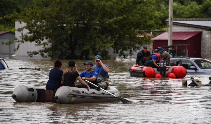 Тигры вышли на дороги из леса, тысячи людей эвакуируют на лодках: последствия потопа в Приморье