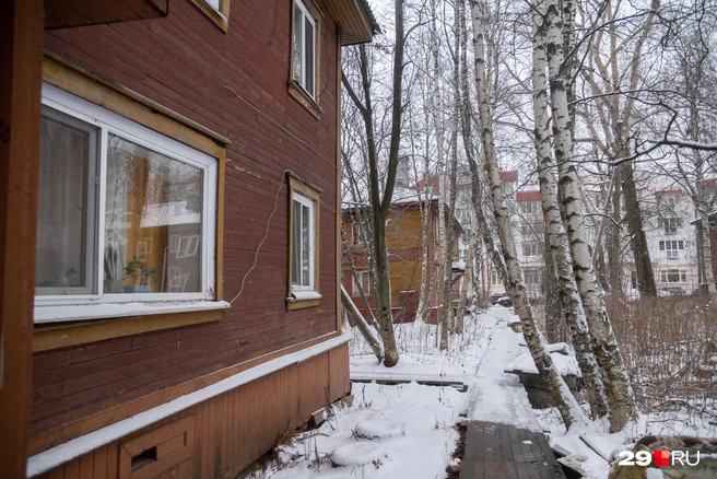 Источник: Иван Митюшёв / 29.RU