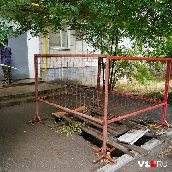 Источник: Константин Завриков / V1.RU