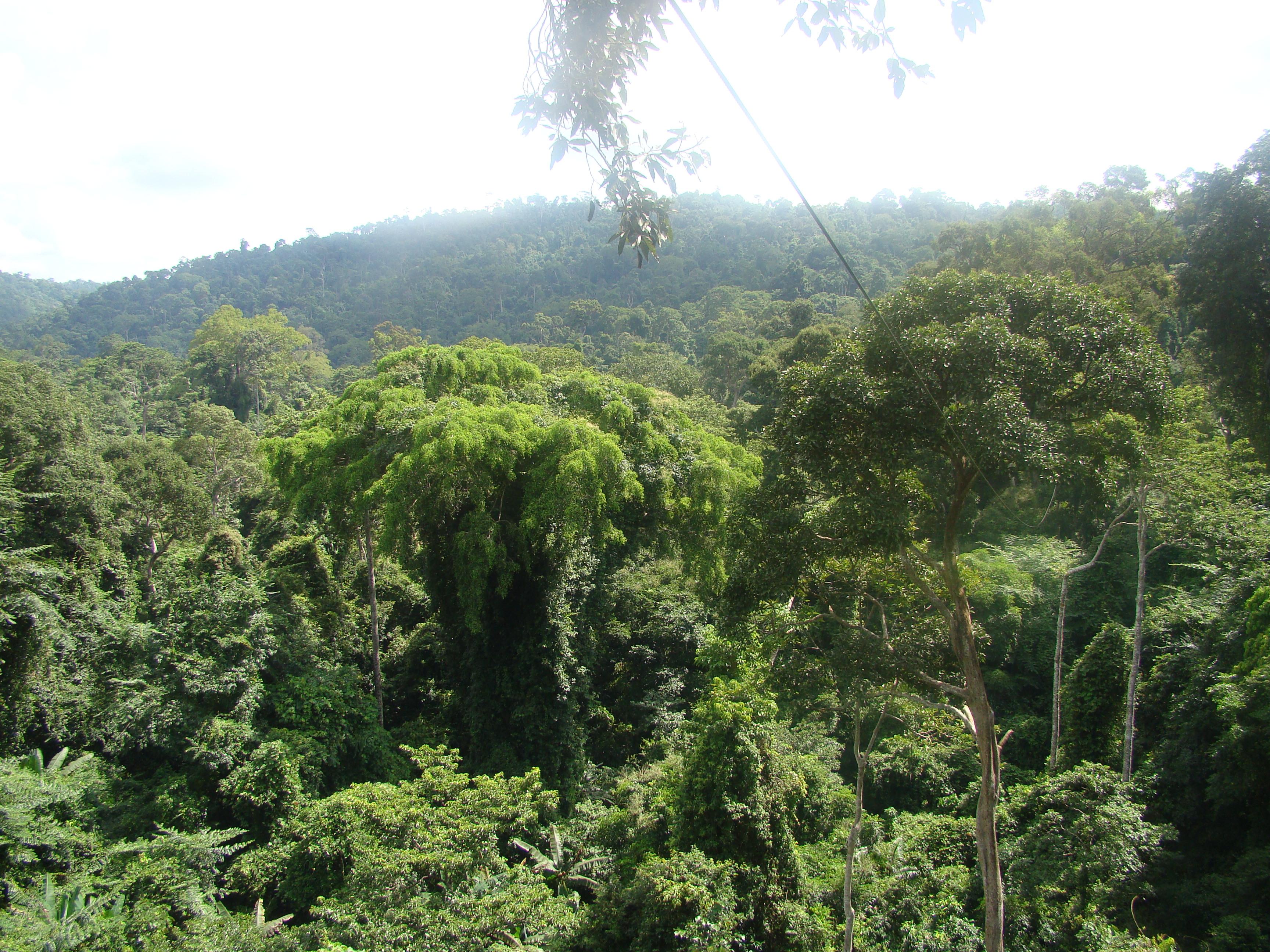 Tajska odpravlja 50-letno prepoved prodaje alkohola podnevi