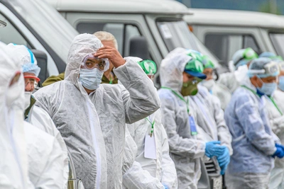 В кузбасском селе Беково введен карантин из-за бешенства