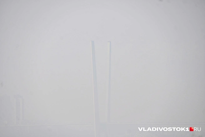Источник: Елена Буйвол / VLADIVOSTOK1.RU