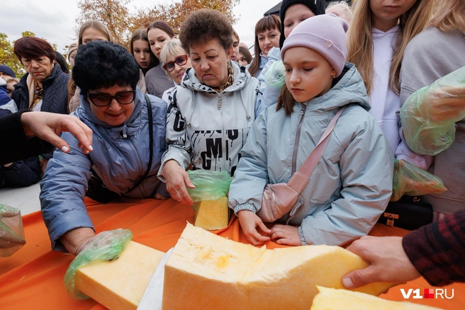 Каждый присутствующий желал прибрать к рукам часть поувесистей | Источник: Алексей Волхонский / V1.RU