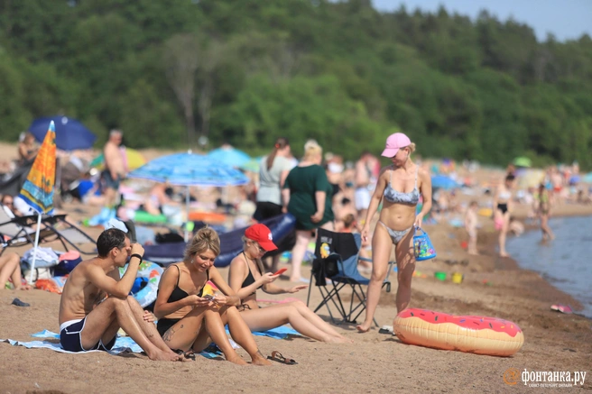 Пляж | Источник: Сергей Михайличенко / FONTANKA.RU