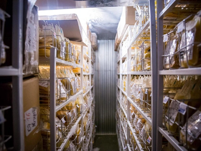 Происшествие на складе маркетплейса с участием работницы | Источник: Иллюстрация к материалу