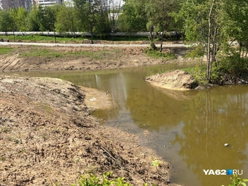 Вода болотного оттенка | Источник: Дарья Ходосевич / YA62.RU