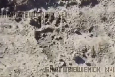 Следы медведя нашли у стройгородка в Благовещенске